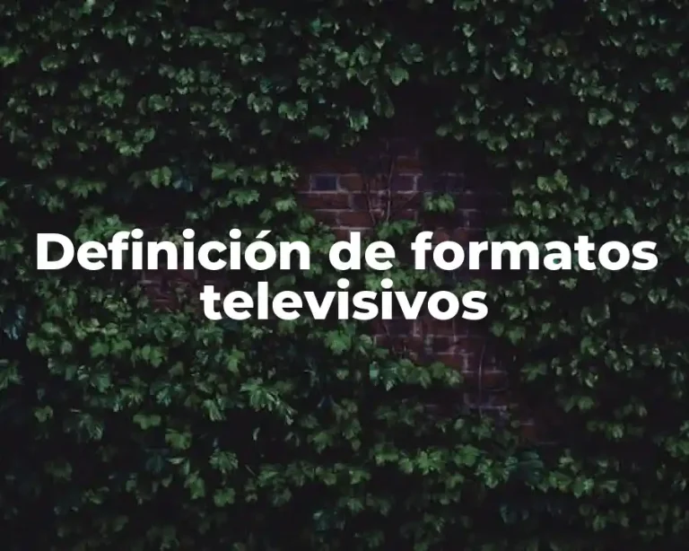 Definición de formatos televisivos