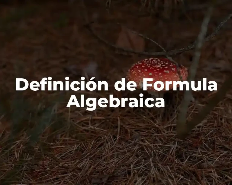 Definición de Formula Algebraica