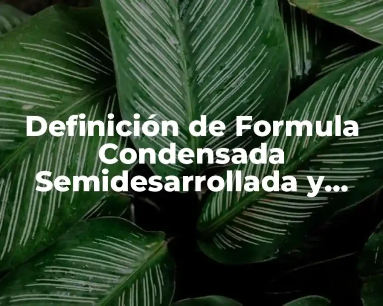 Definición de Formula Condensada Semidesarrollada y Desarrollada