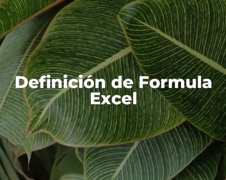 Definición de Formula Excel