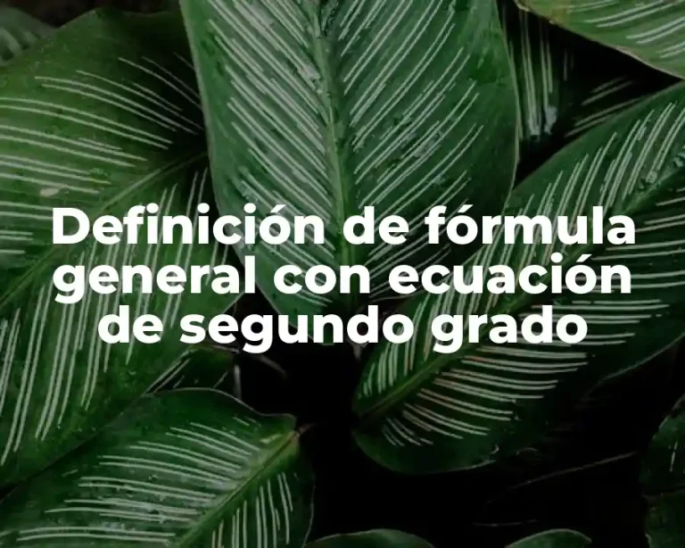 Definición de fórmula general con ecuación de segundo grado