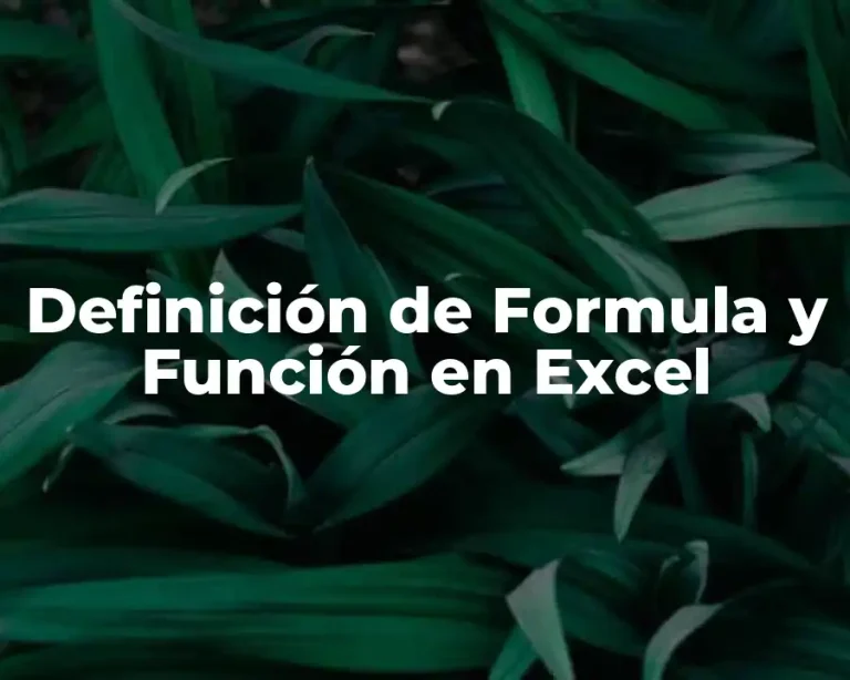 Definición de Formula y Función en Excel