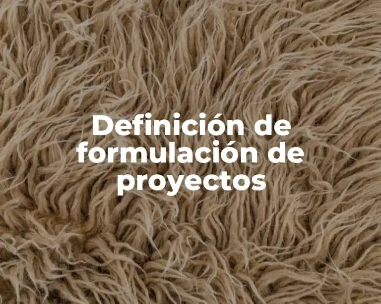 Definición de formulación de proyectos