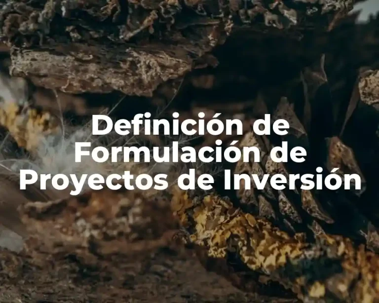 Definición de Formulación de Proyectos de Inversión