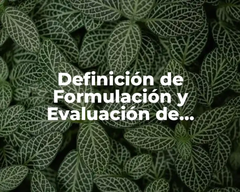 Definición de Formulación y Evaluación de Proyectos
