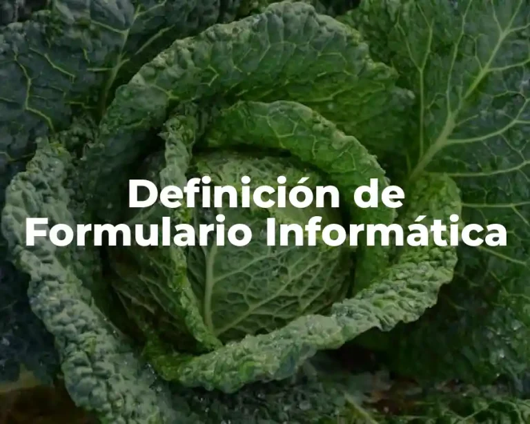Definición de Formulario Informática