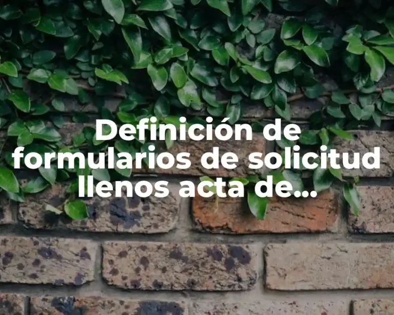 Definición de formularios de solicitud llenos acta de nacimiento