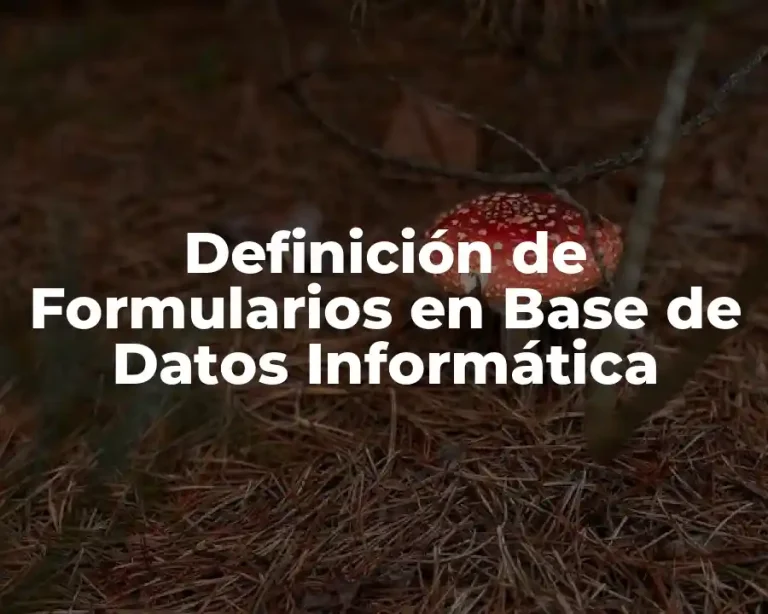 Definición de Formularios en Base de Datos Informática