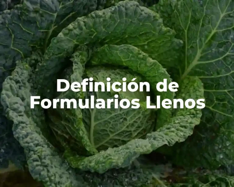 Definición de Formularios Llenos