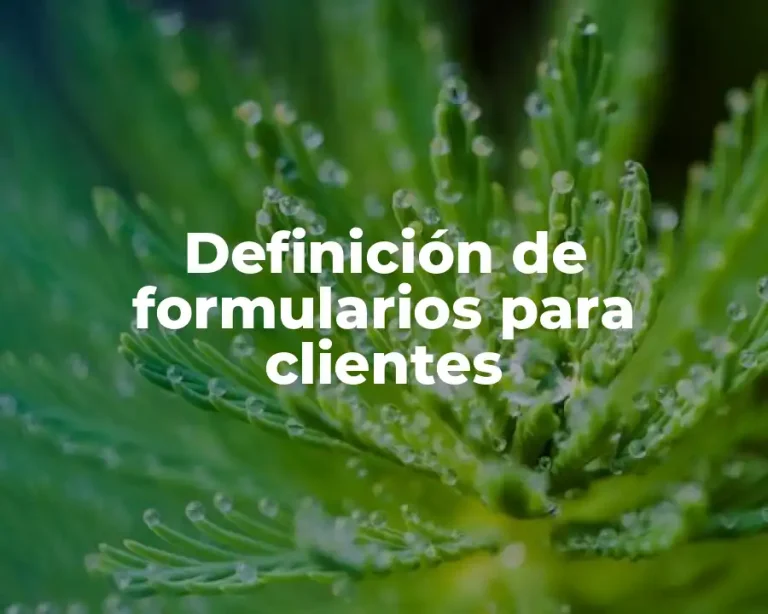 Definición de formularios para clientes