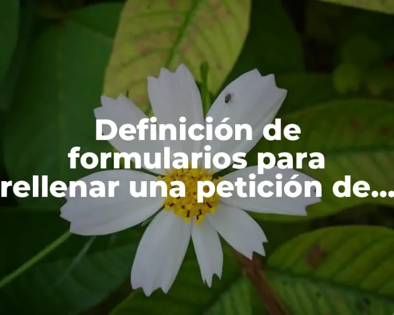 Definición de formularios para rellenar una petición de servicios