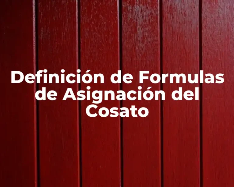 Definición de Formulas de Asignación del Cosato