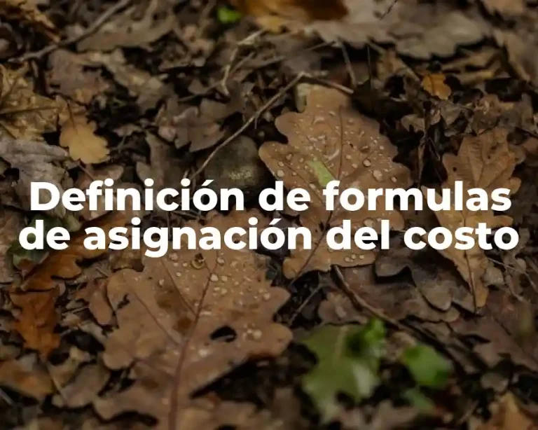 Definición de formulas de asignación del costo