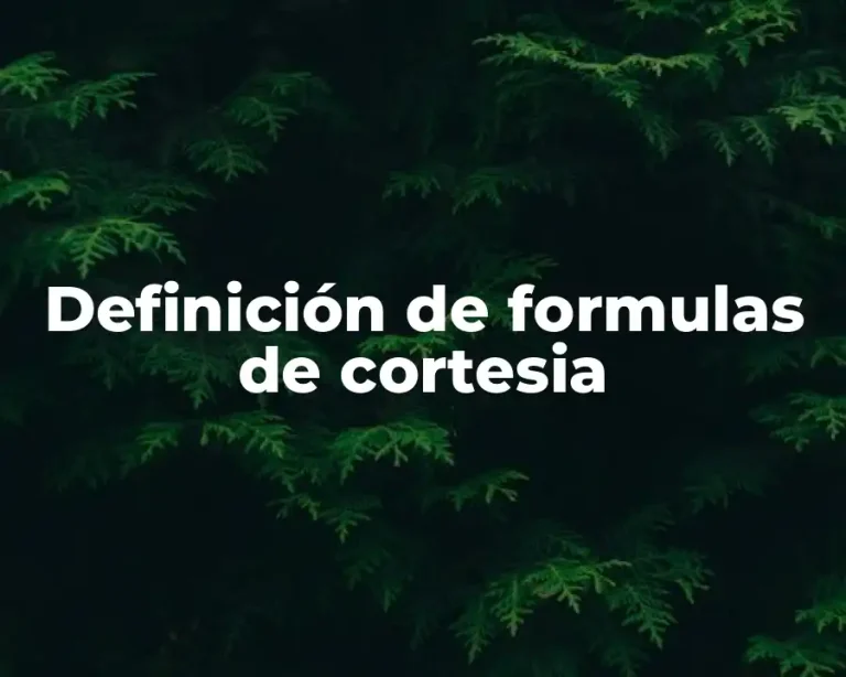 Definición de formulas de cortesia