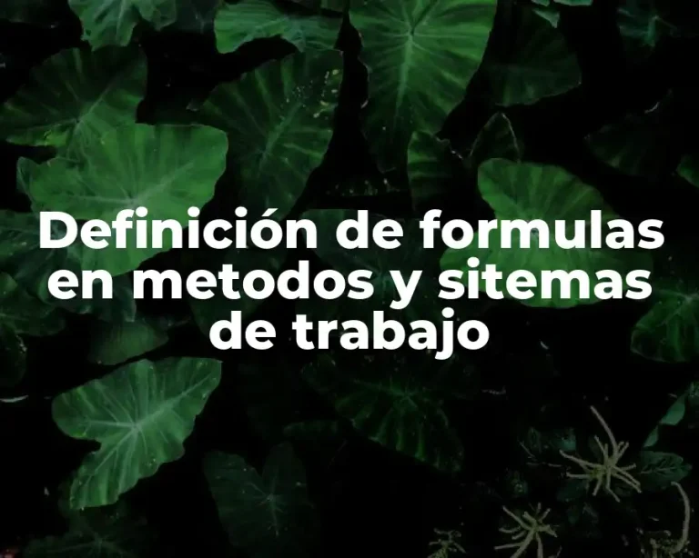 Definición de formulas en metodos y sitemas de trabajo