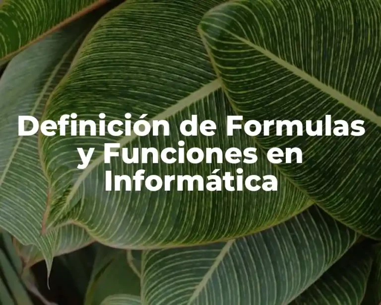 Definición de Formulas y Funciones en Informática