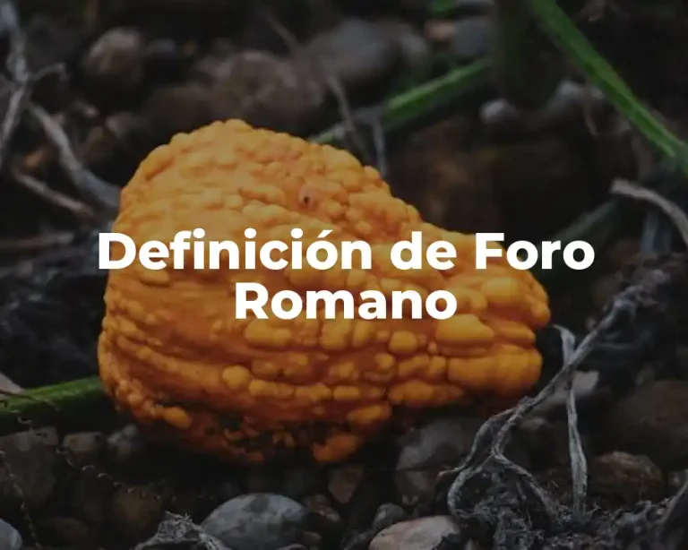 Definición de Foro Romano