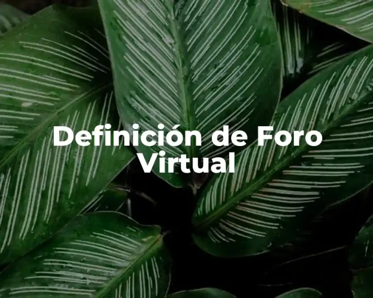 Definición de Foro Virtual