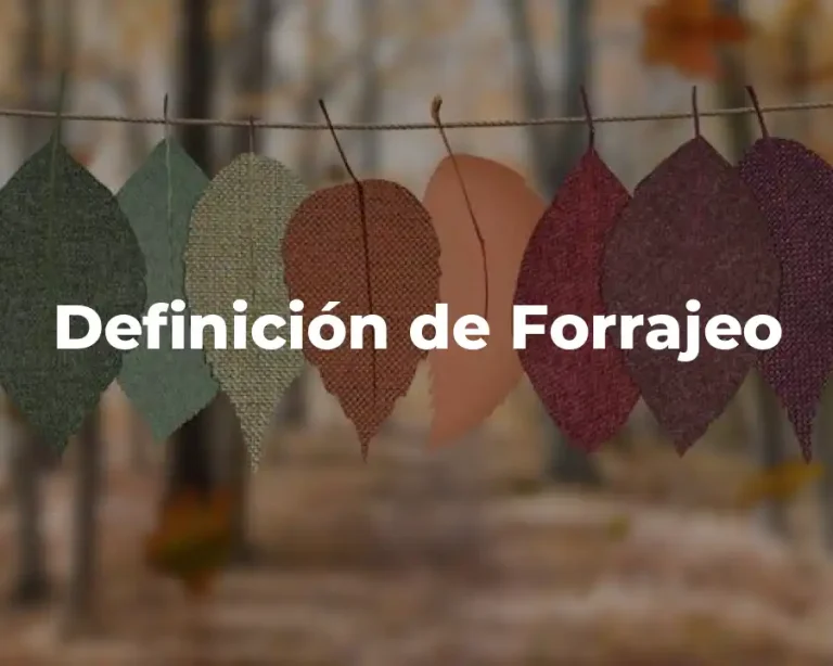 Definición de Forrajeo