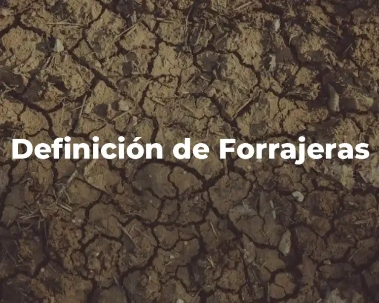 Definición de Forrajeras