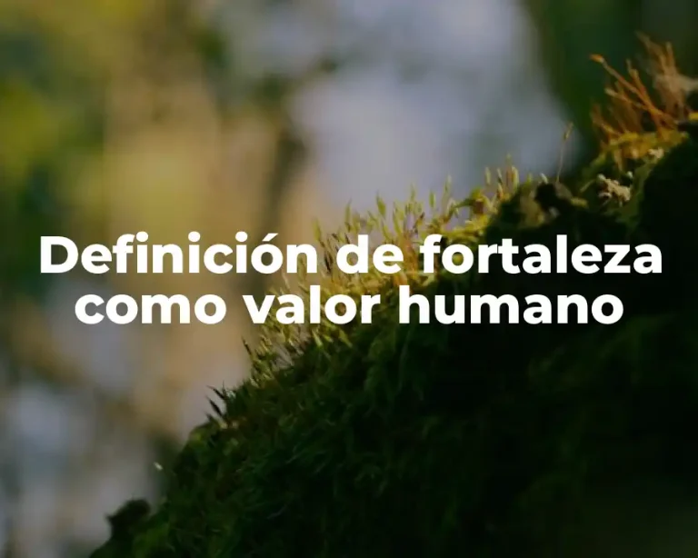 Definición de fortaleza como valor humano