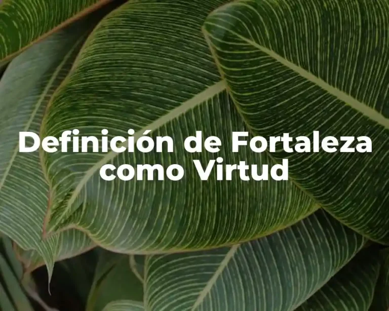 Definición de Fortaleza como Virtud