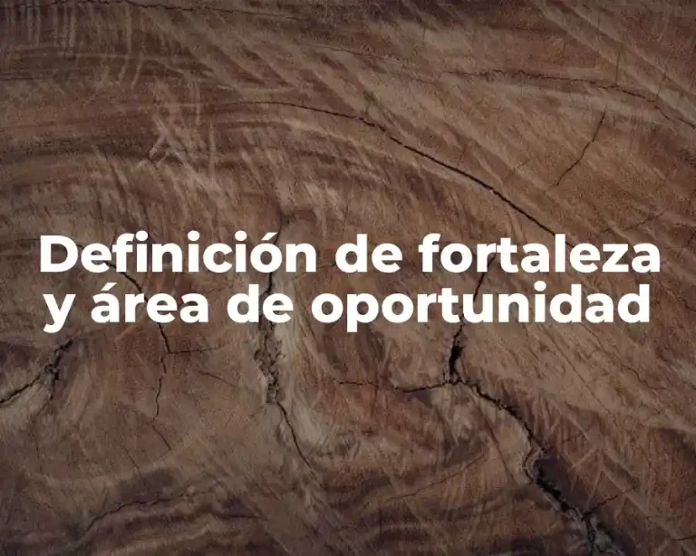 Definición de fortaleza y área de oportunidad