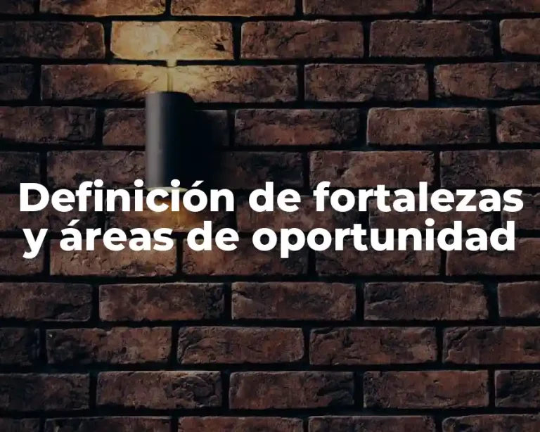 Definición de fortalezas y áreas de oportunidad