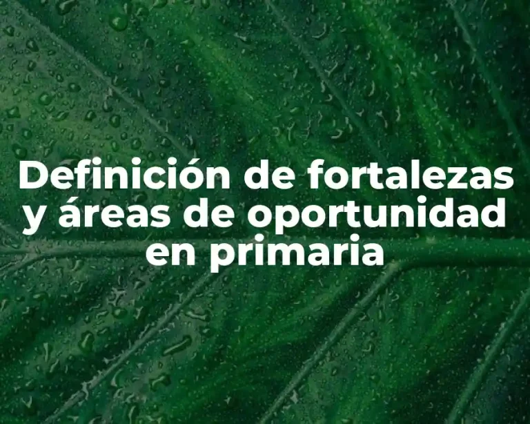 Definición de fortalezas y áreas de oportunidad en primaria