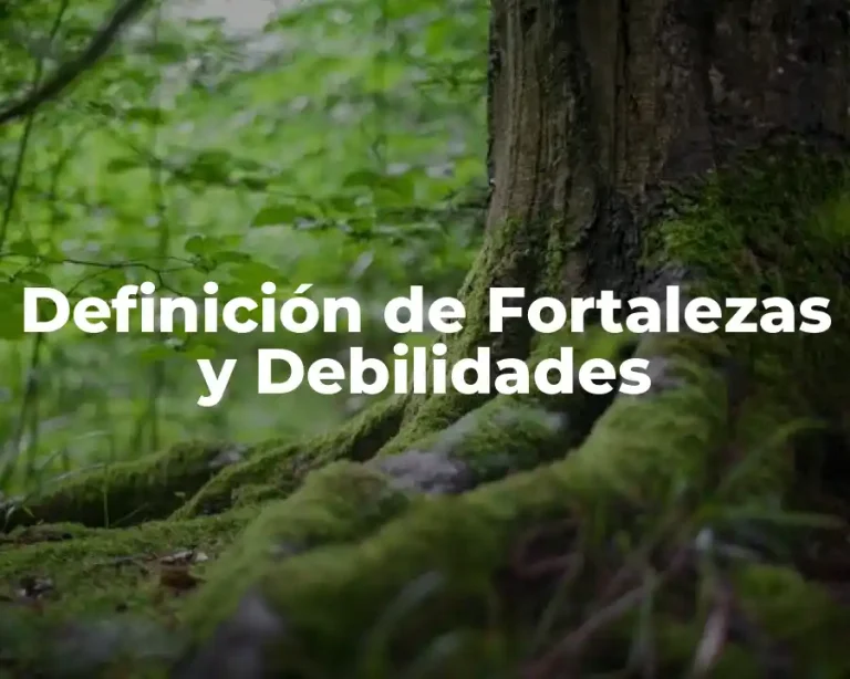 Definición de Fortalezas y Debilidades