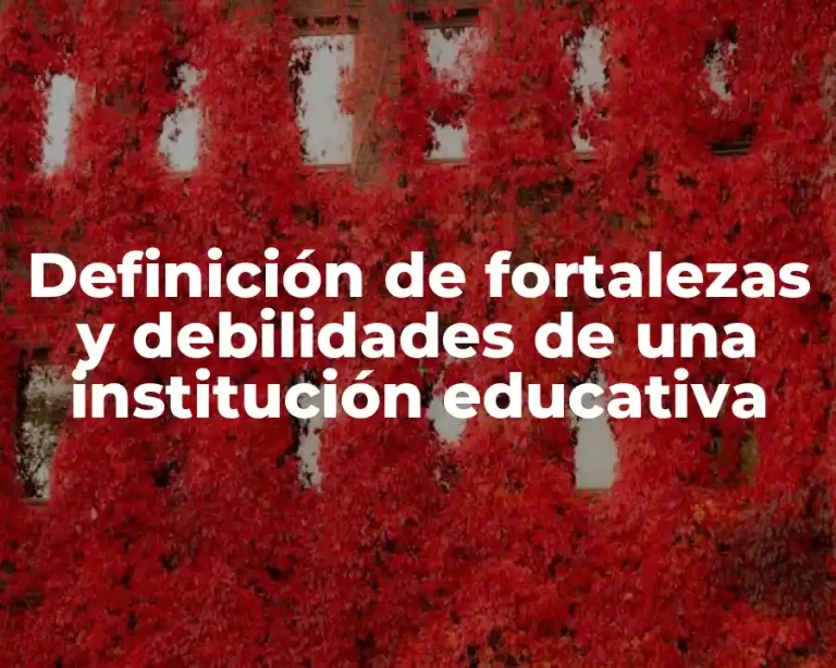 Definición de fortalezas y debilidades de una institución educativa