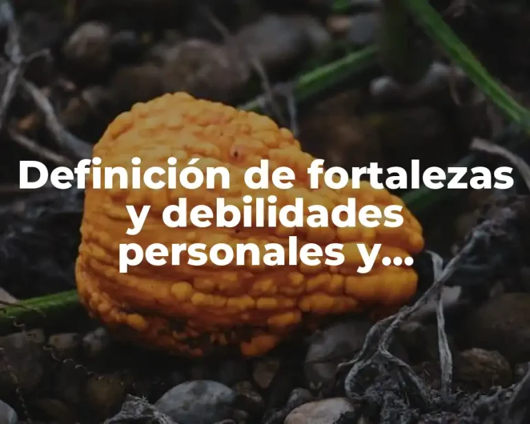 Definición de fortalezas y debilidades personales y profesionales