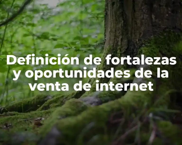 Definición de fortalezas y oportunidades de la venta de internet