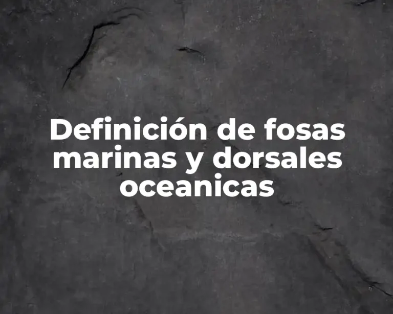 Definición de fosas marinas y dorsales oceanicas