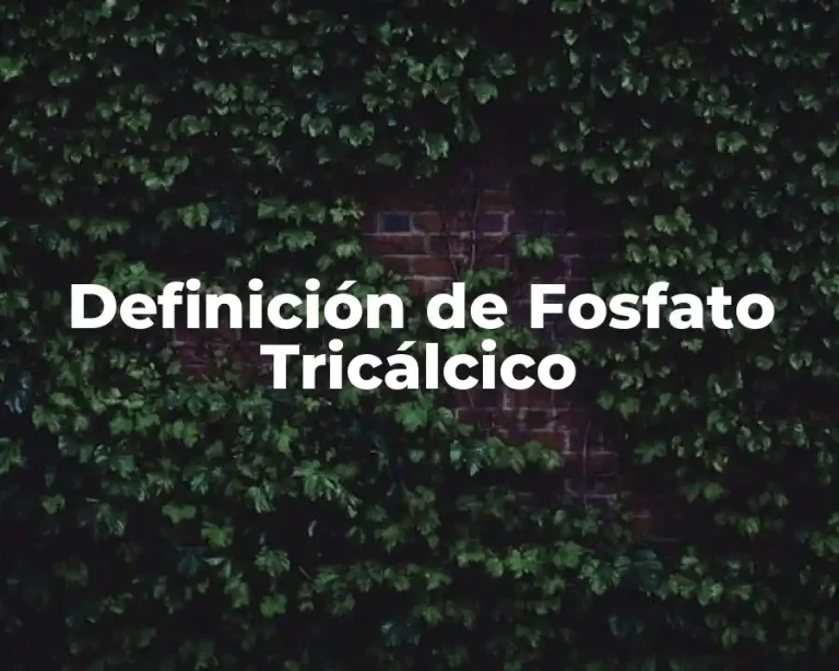 Definición de Fosfato Tricálcico