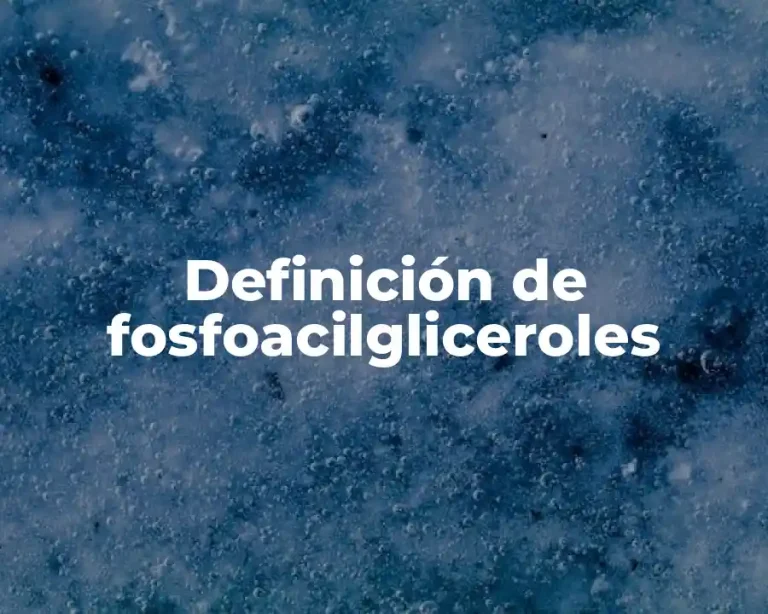 Definición de fosfoacilgliceroles