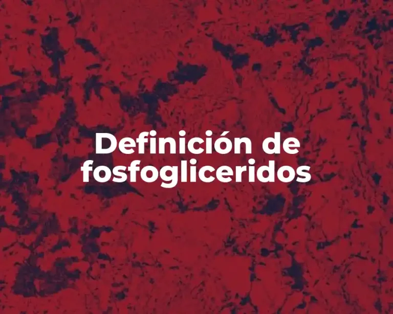 Definición de fosfogliceridos