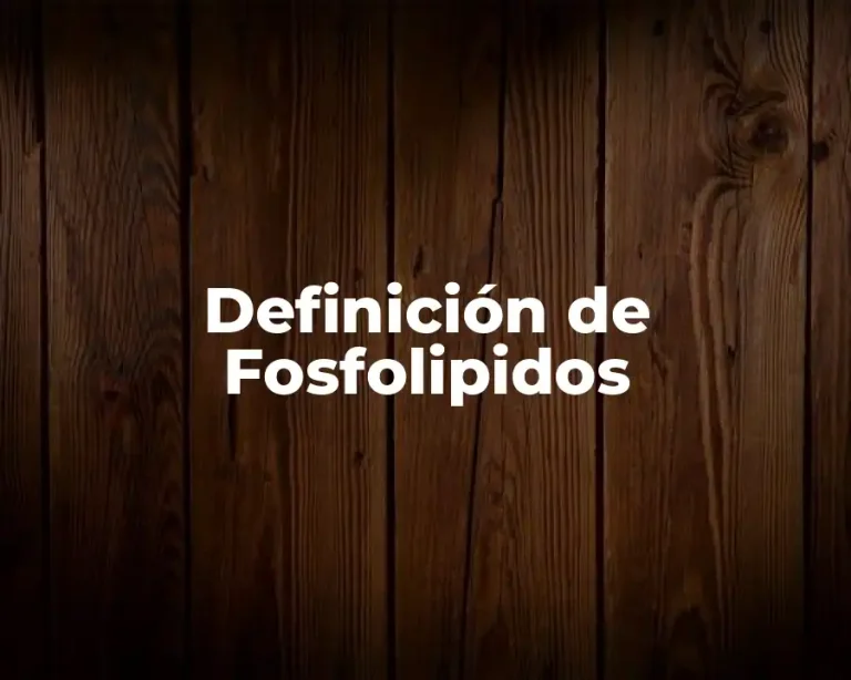 Definición de Fosfolipidos