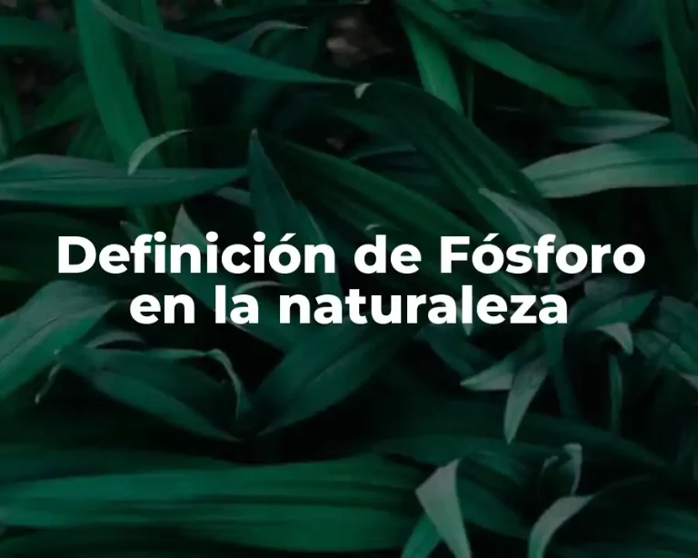 Definición de Fósforo en la naturaleza