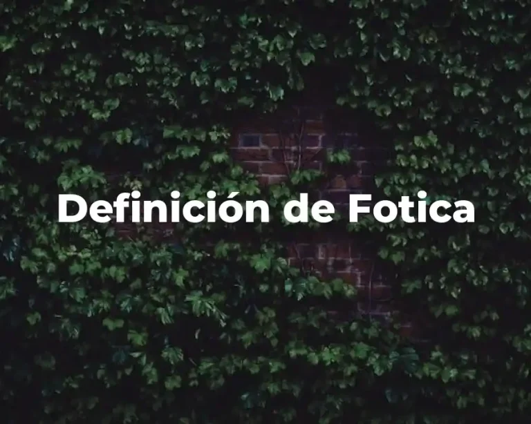 Definición de Fotica