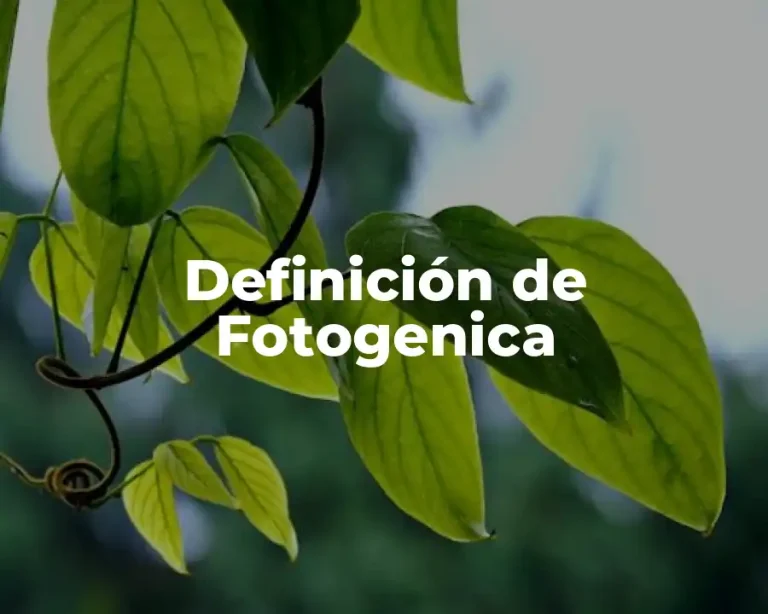 Definición de Fotogenica