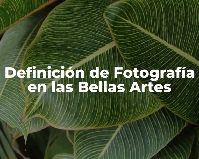 Definición de Fotografía en las Bellas Artes
