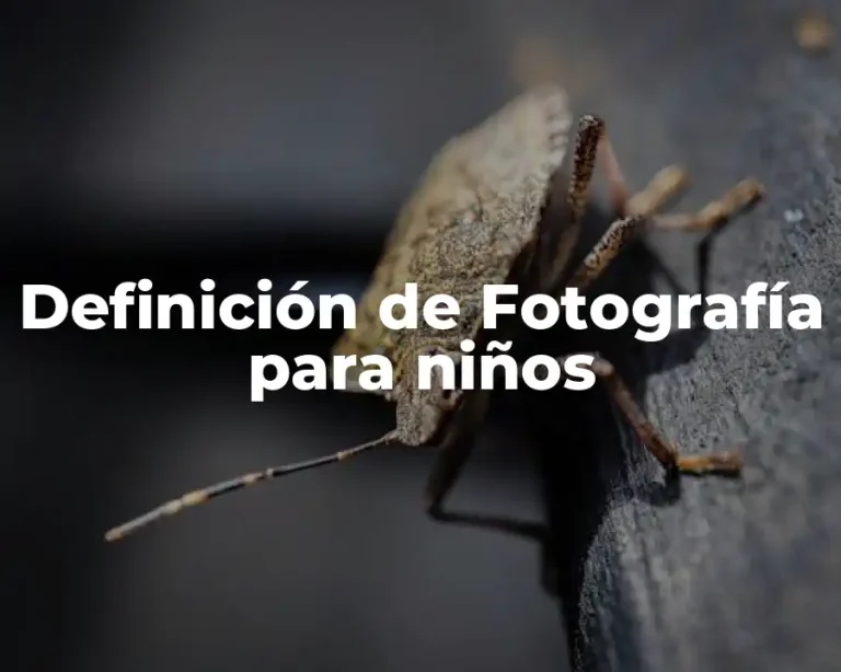Definición de Fotografía para niños