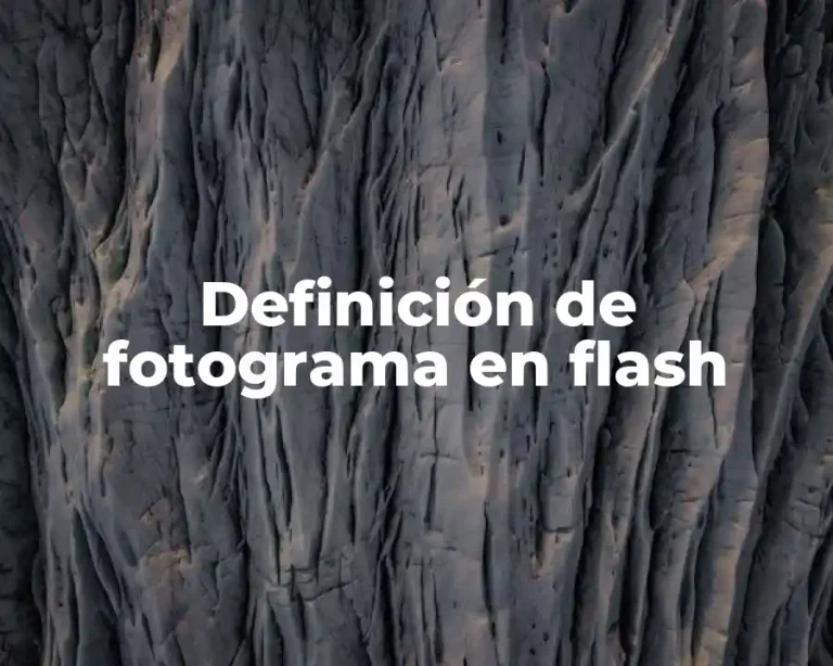 Definición de fotograma en flash