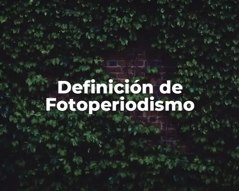 Definición de Fotoperiodismo