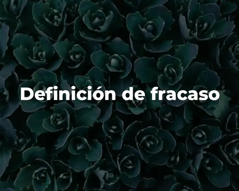 Definición de fracaso