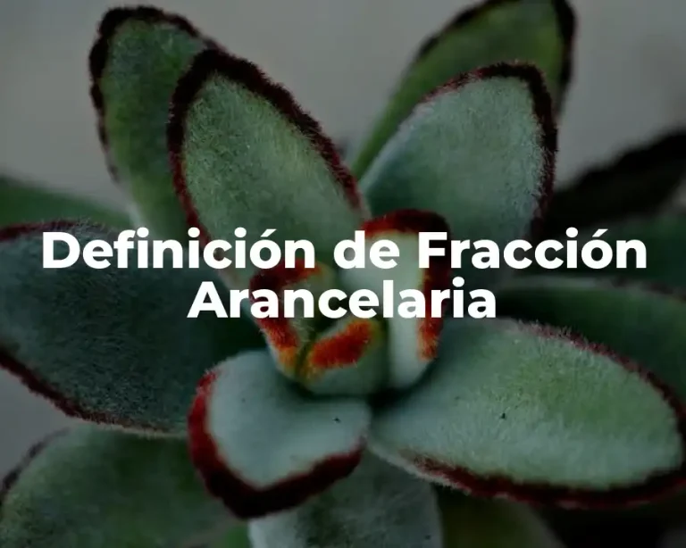 Definición de Fracción Arancelaria