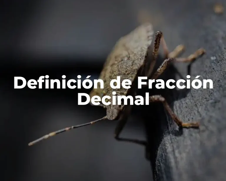 Definición de Fracción Decimal