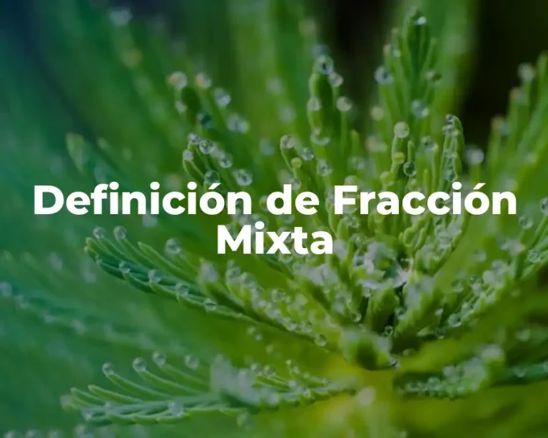 Definición de Fracción Mixta