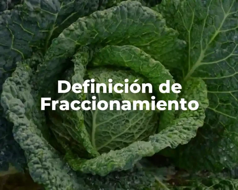 Definición de Fraccionamiento